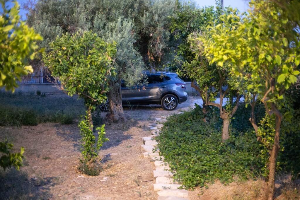 Villa Ferrante Marina di Ragusa Exterior foto